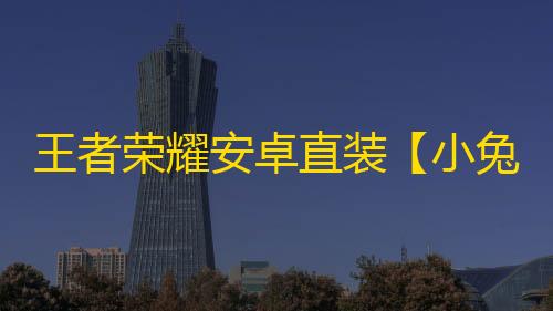 王者荣耀安卓直装【小兔子】